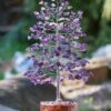 Buy Amethyst Tree